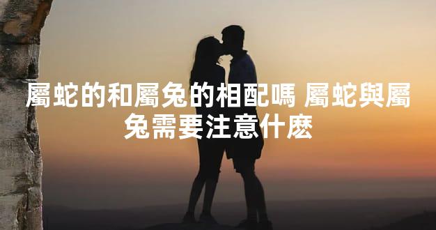 屬蛇的和屬兔的相配嗎 屬蛇與屬兔需要注意什麽